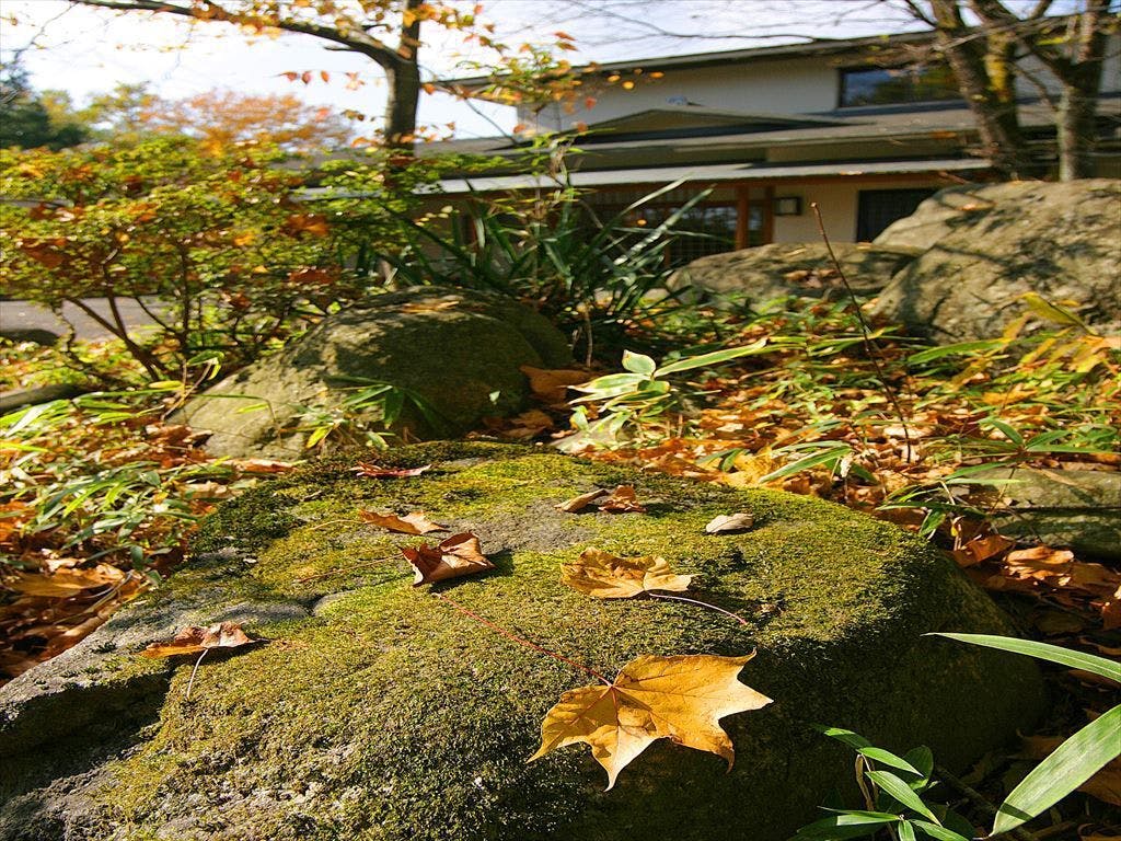 別邸　山風木