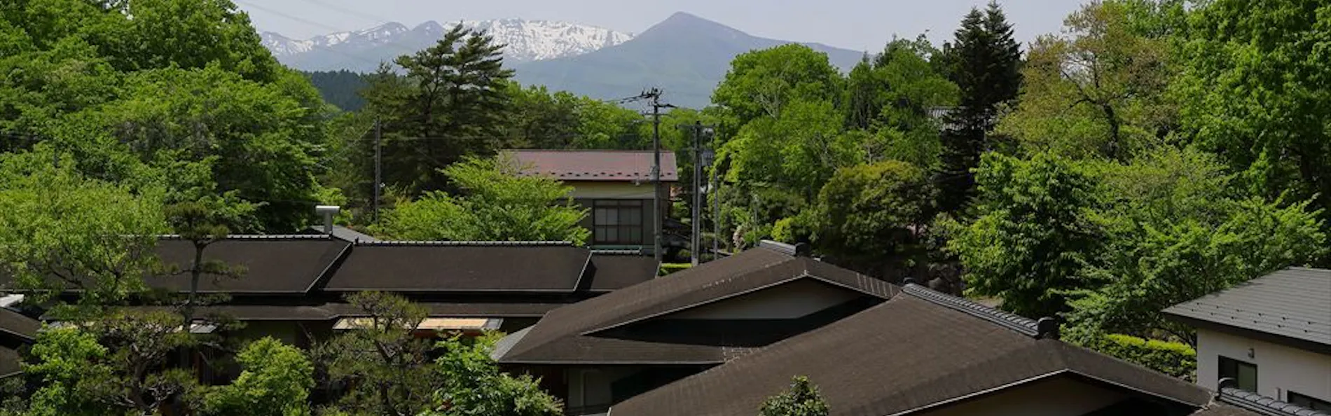 別邸 山風木