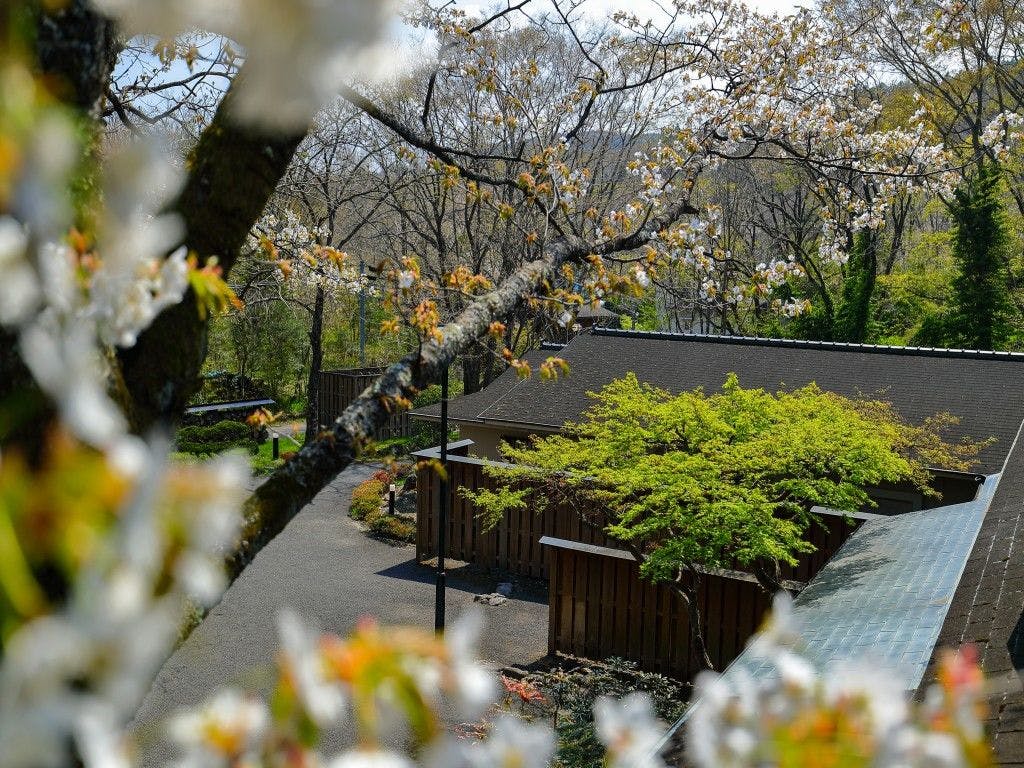 別邸　山風木