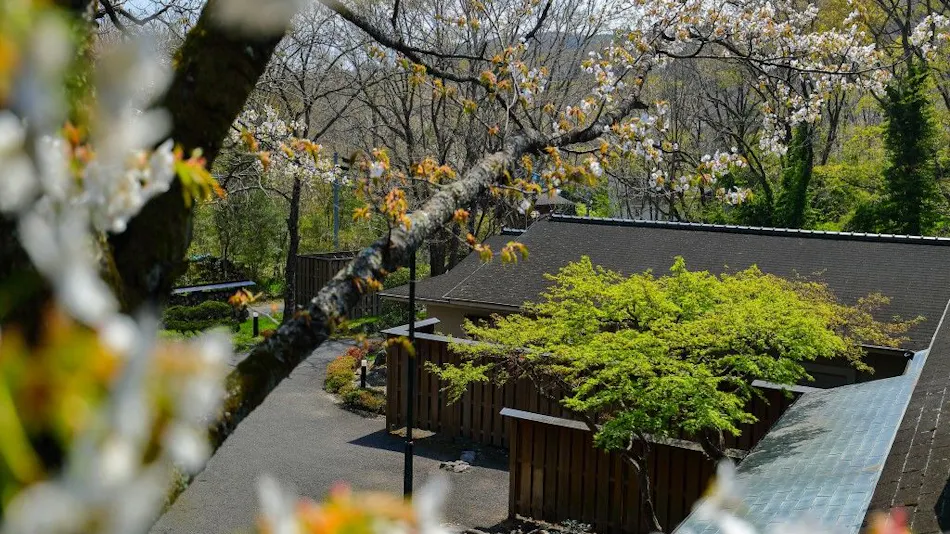 Villa Yamakiboku