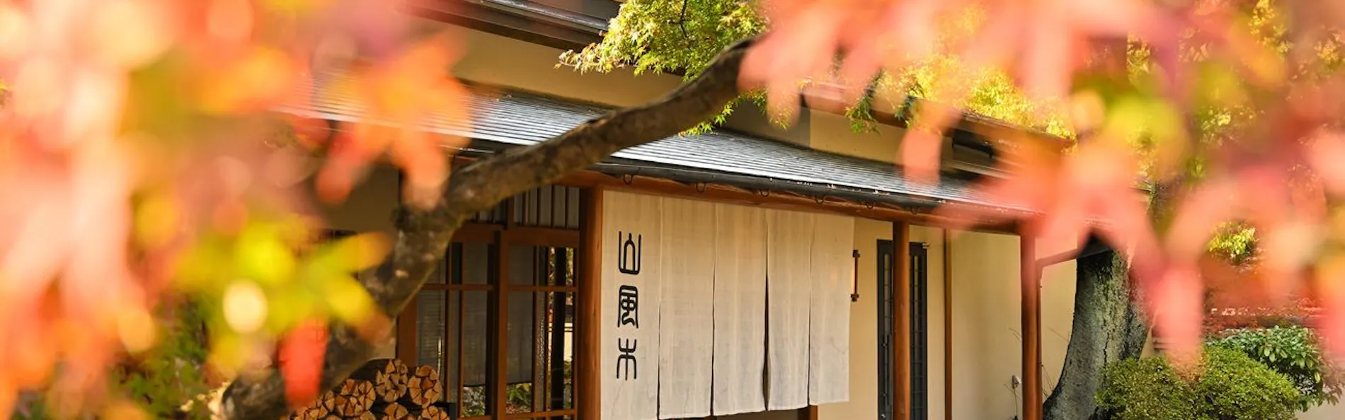 別邸 山風木