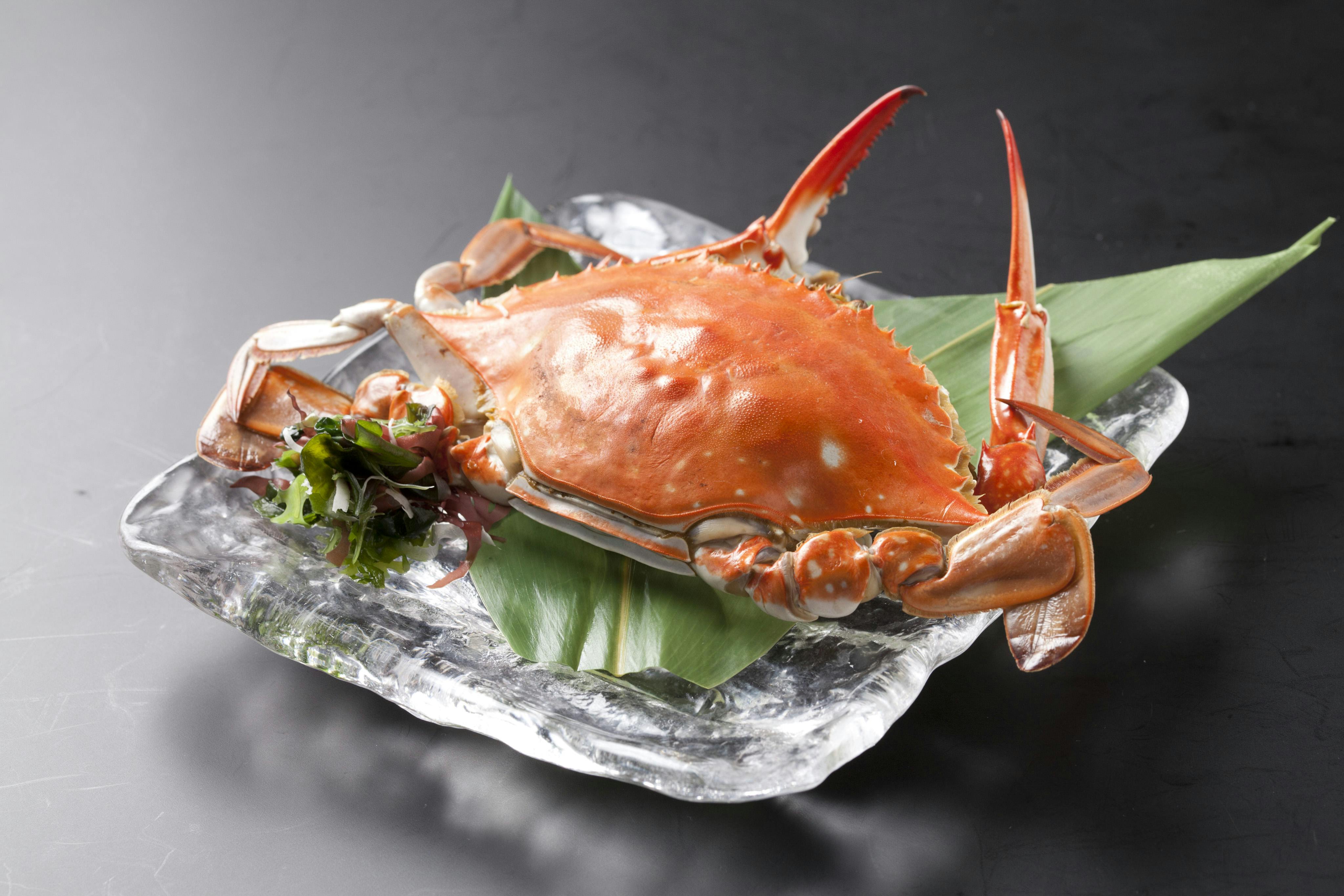肅　海風