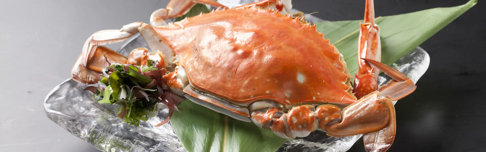 肅 海風