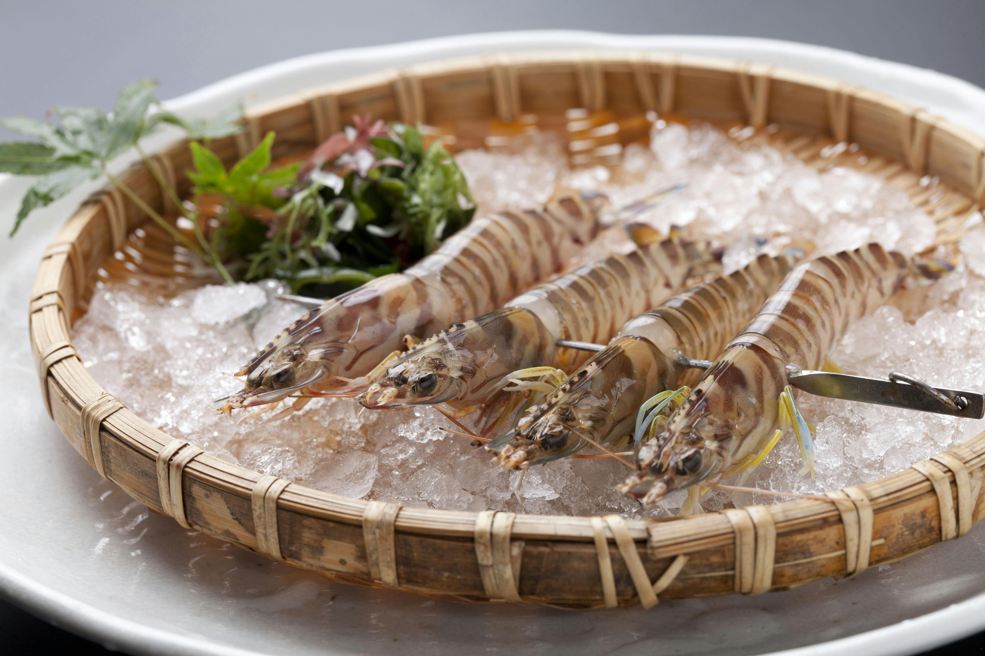 肅　海風