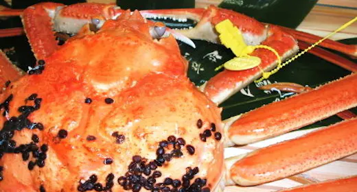 【越前蟹】通のみぞ知る 最高峰の味わい!ズワイ×セイコの皇室献上 極上コース