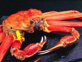 割烹旅館　越前満月