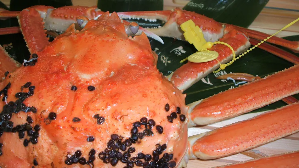Kappo Ryokan Echizen Mangetsu