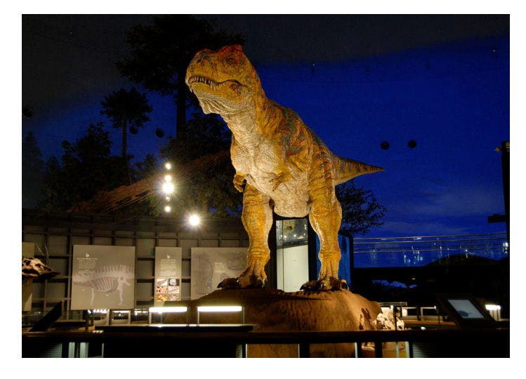 พิพิธภัณฑ์ไดโนเสาร์คัตสึยามะ