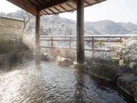 山中温泉　花紫