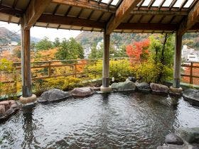山中温泉　花紫