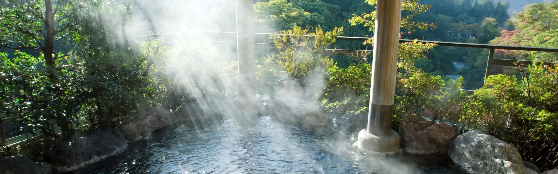 山中温泉 花紫