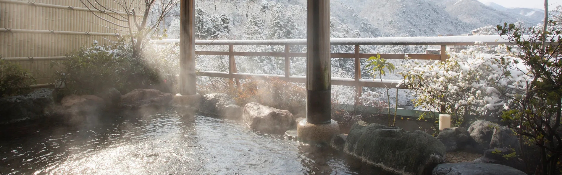 山中温泉 花紫
