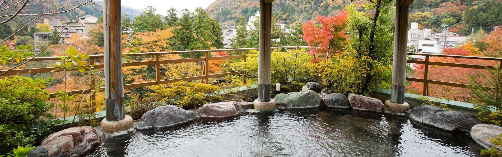 山中温泉 花紫