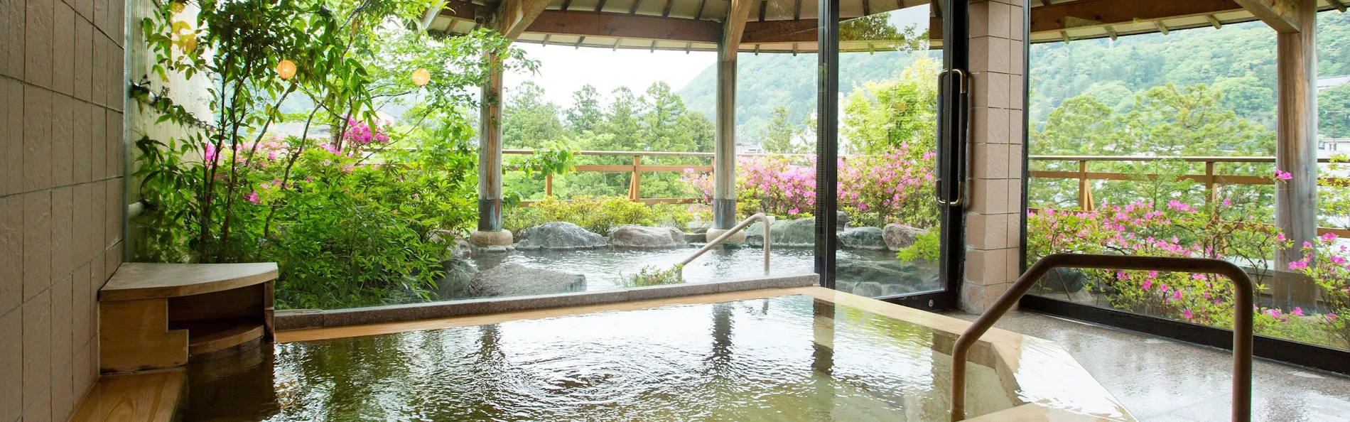 山中温泉 花紫