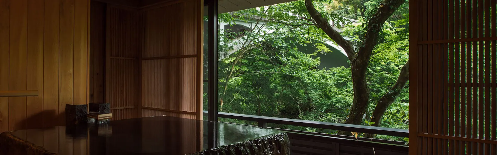 山中温泉 花紫