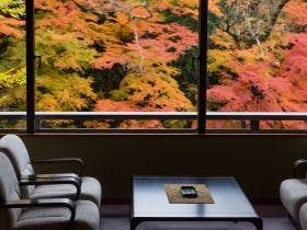 山中温泉　花紫 1枚目