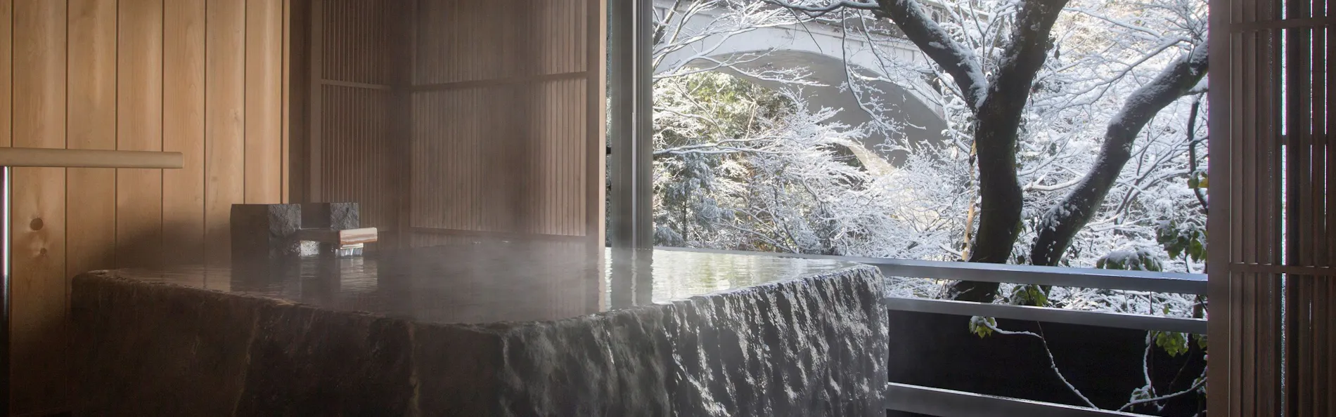 山中温泉 花紫