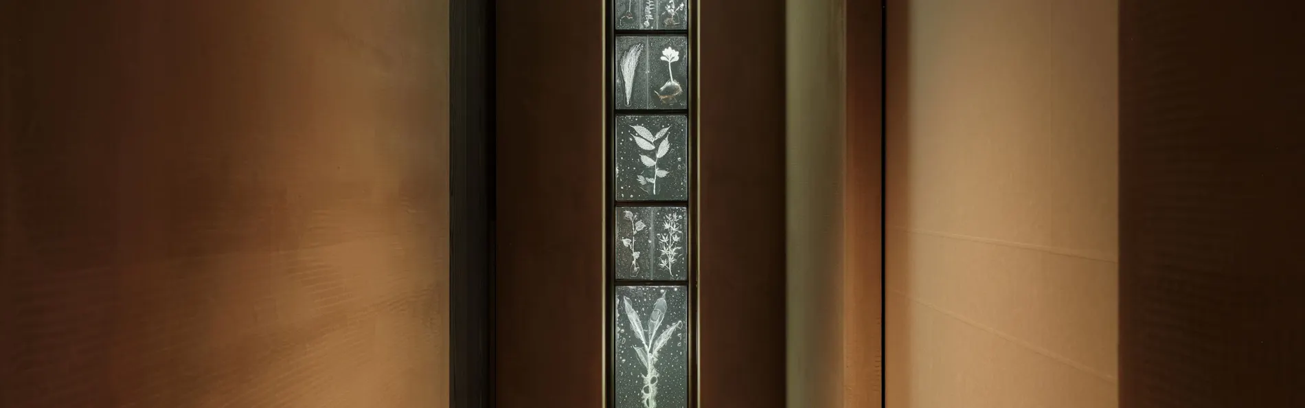 山中温泉 花紫