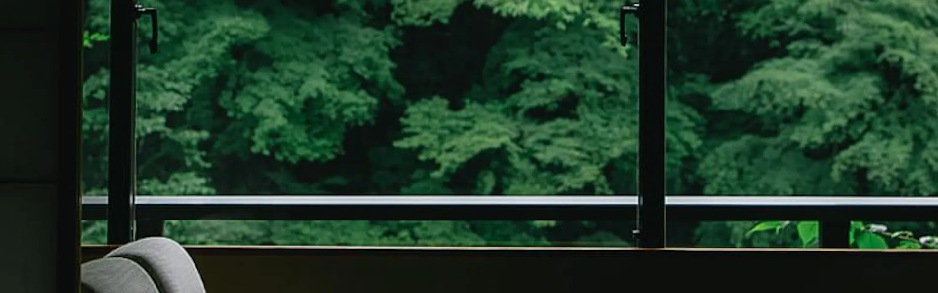山中温泉 花紫