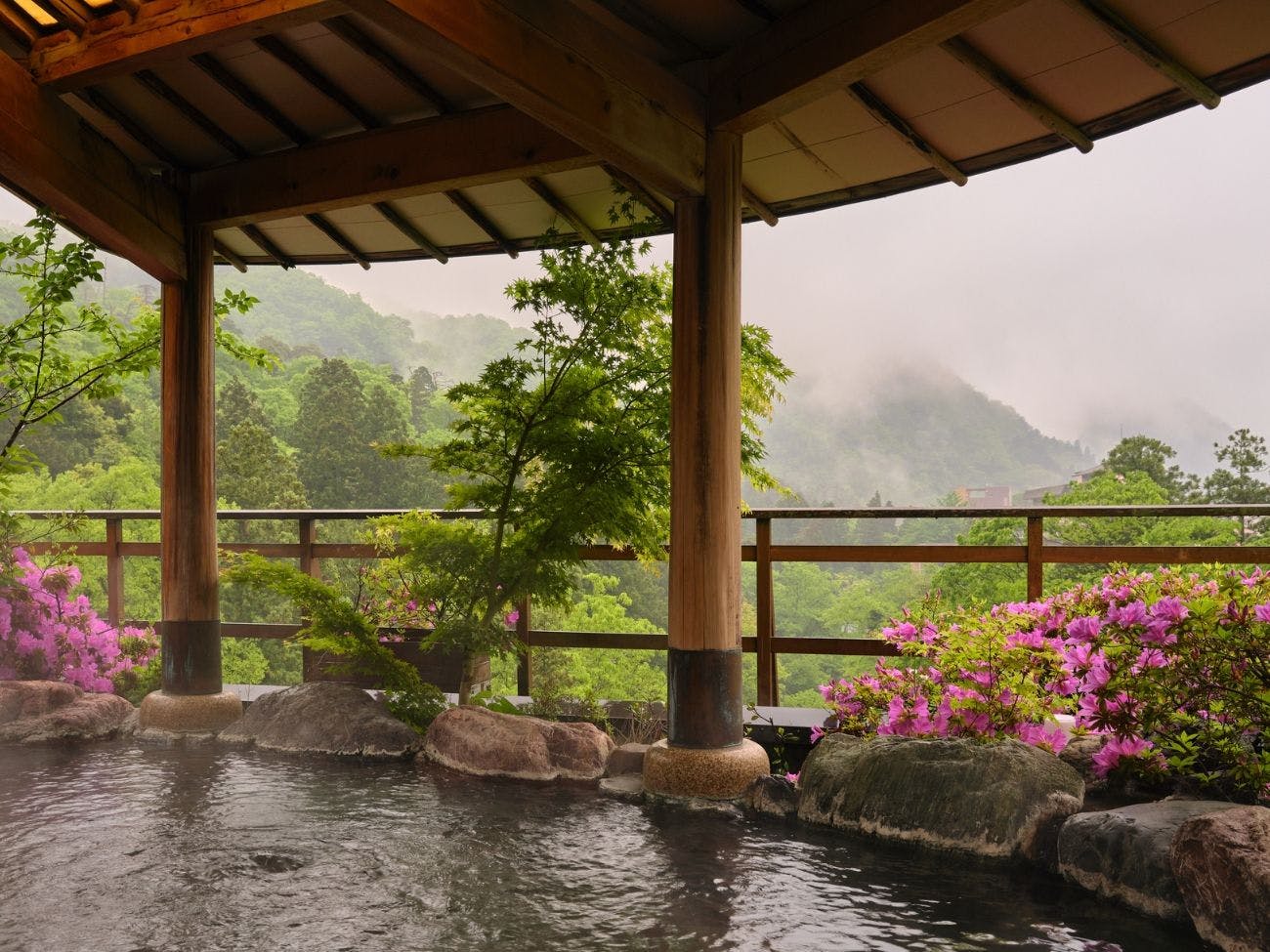 山中温泉　花紫