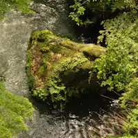 เส้นทางเดินเล่น