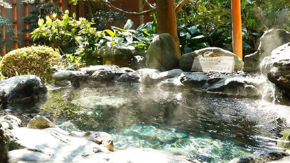 Yunotsuke no Yado Chourakuen, Tamatsukuri Onsen
