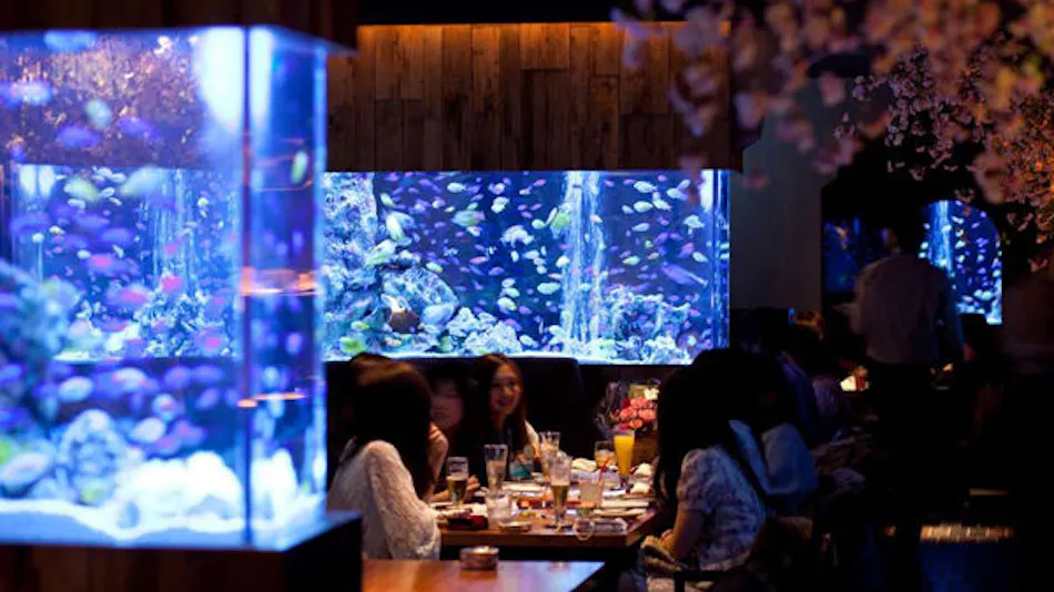 Cross Hotel Osaka (ORIX Hotels & Resorts)
