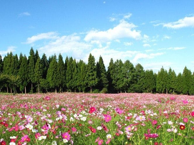 あてま高原リゾート　ベルナティオ