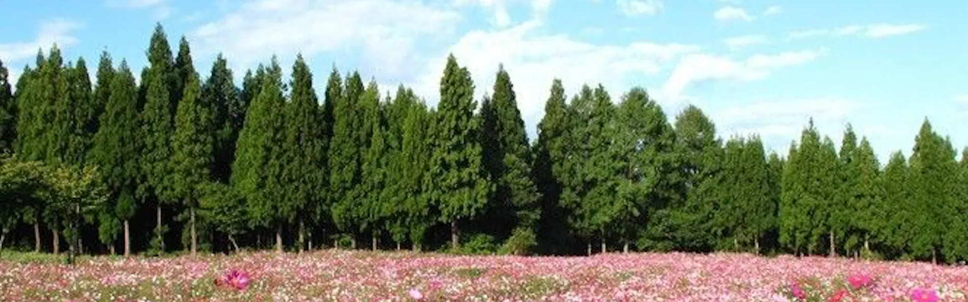 あてま高原リゾート ベルナティオ