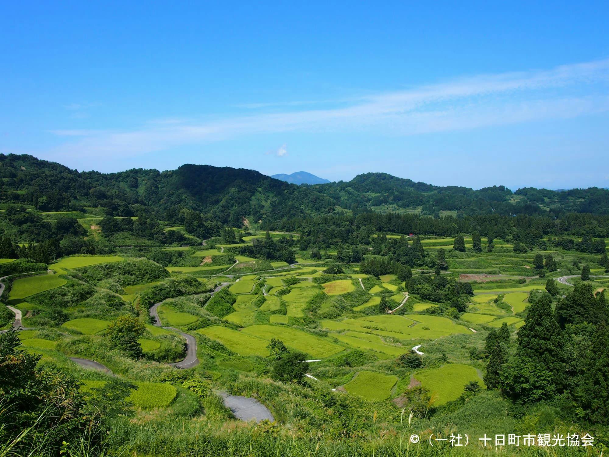 あてま高原リゾート　ベルナティオ