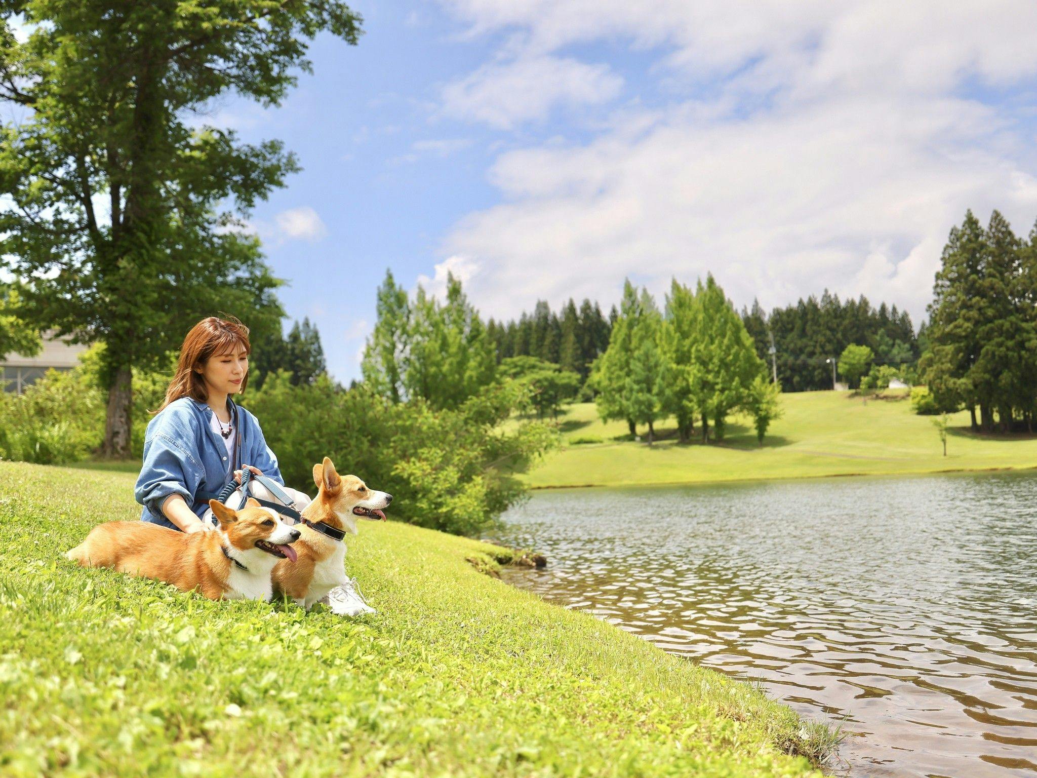 Atema Kogen Resort Belnatio