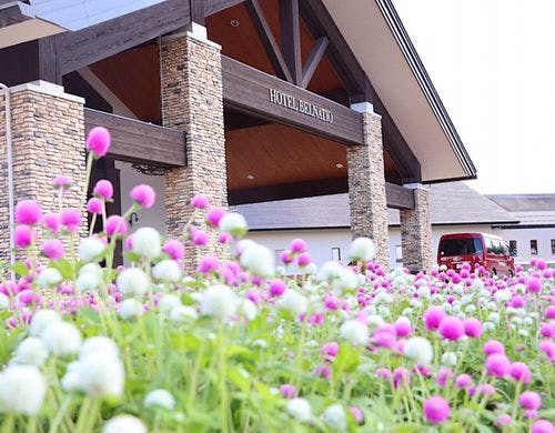 21年 新潟県 安心して赤ちゃんと一緒に泊まれる口コミ高評価の温泉旅館 ホテル Biglobe温泉