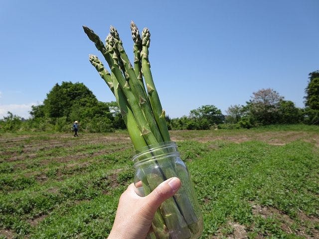 あてま高原リゾート　ベルナティオ
