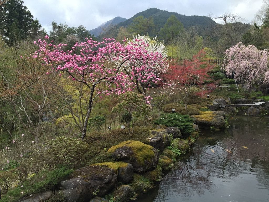 奥の院ほてるとく川