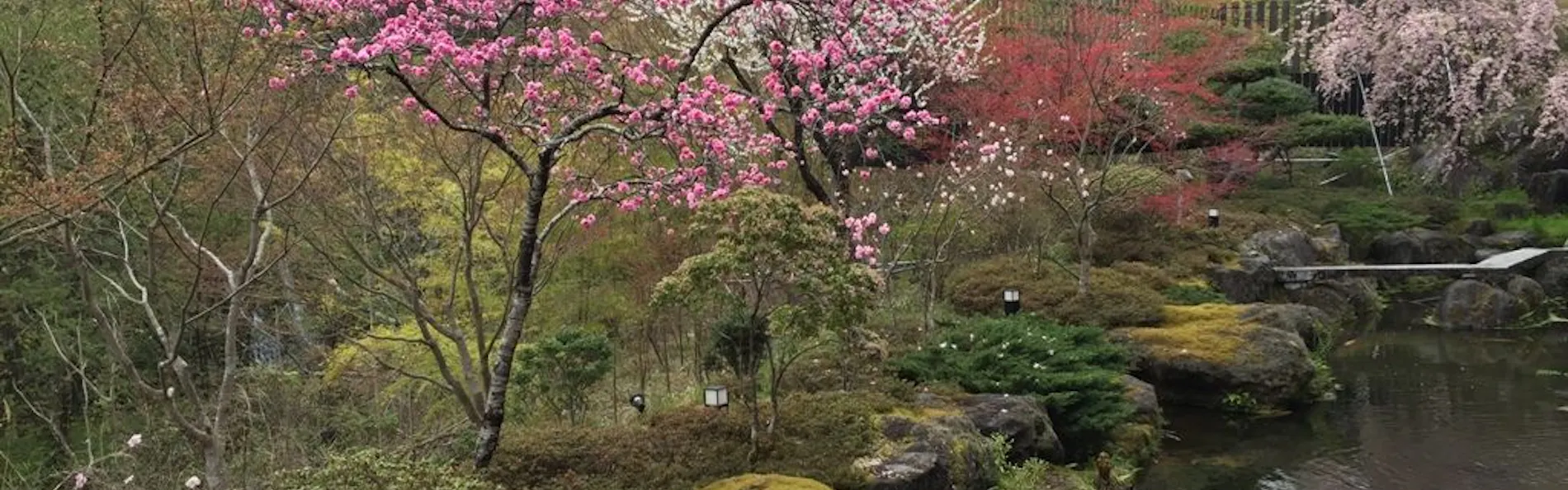 奥の院ほてるとく川