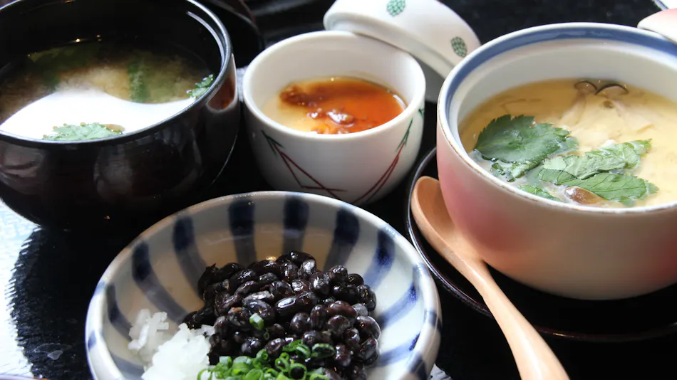Oku no In Hotel Tokugawa