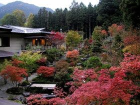 奥の院 ほてる とく川