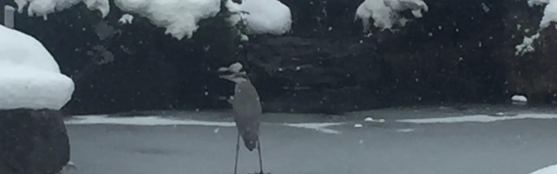 奥の院ほてるとく川