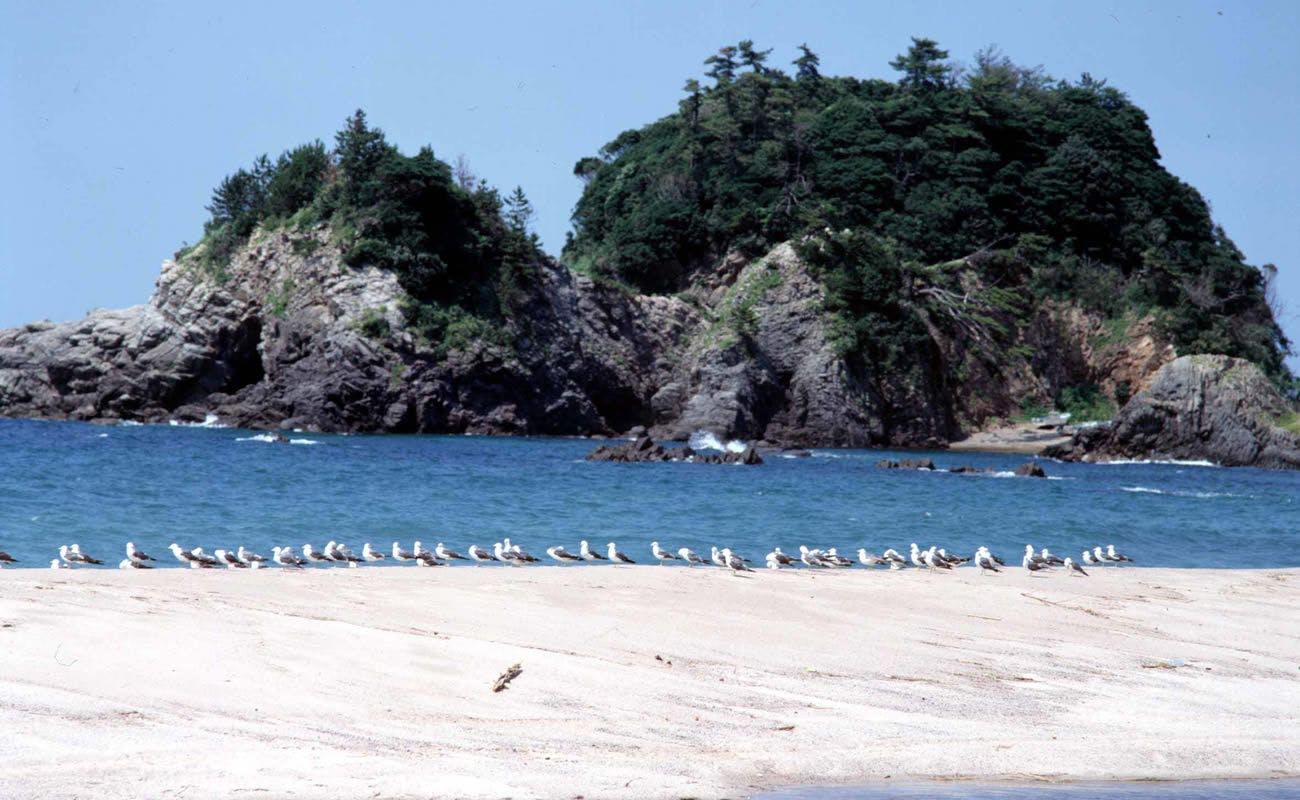 ７つの海水浴場が選べる丹後町