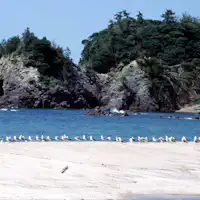 7つの海水浴場が選べる丹後町