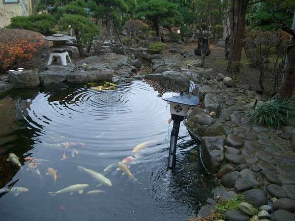 はこだて湯の川温泉 旅館一乃松