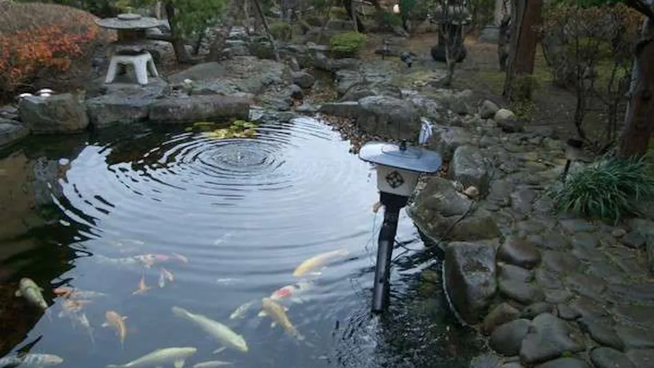 Ryokan Ichinomatsu