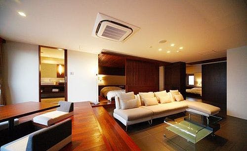 天使の梯子　typeA