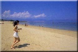 リップルランド