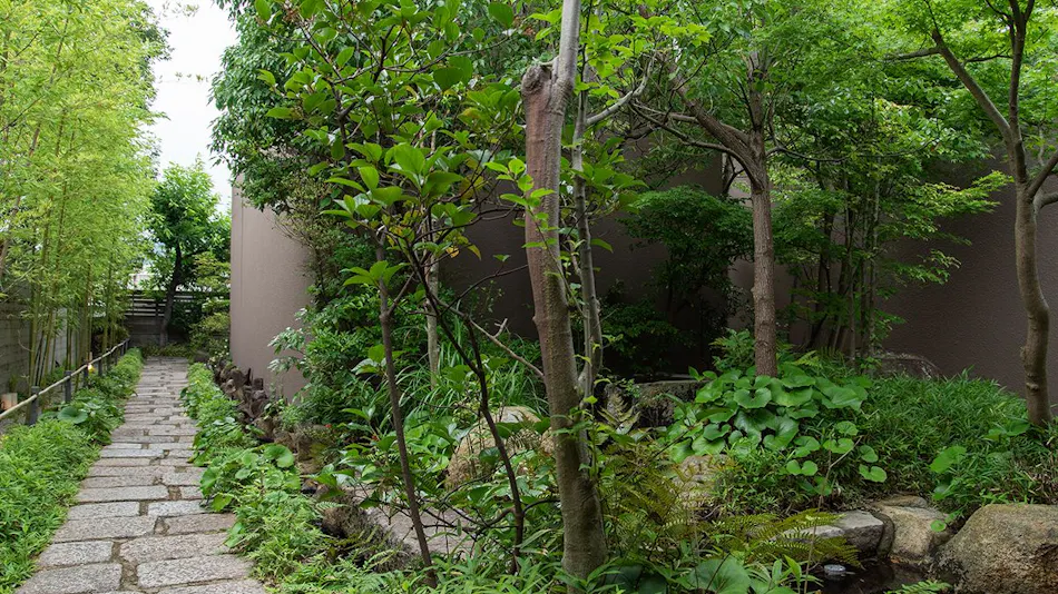 Kotenngu Sanroji