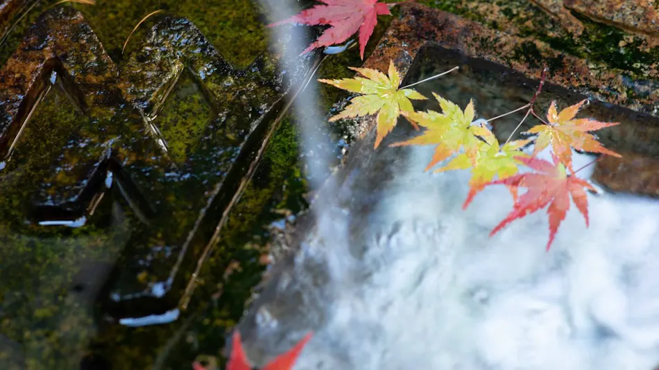 Fufukigawa Onsen Zabou
