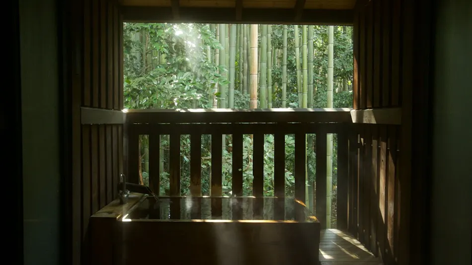 Fufukigawa Onsen Zabou
