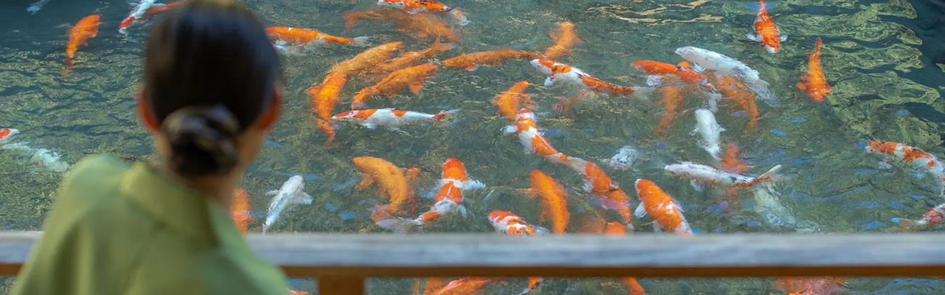笛吹川温泉 坐忘