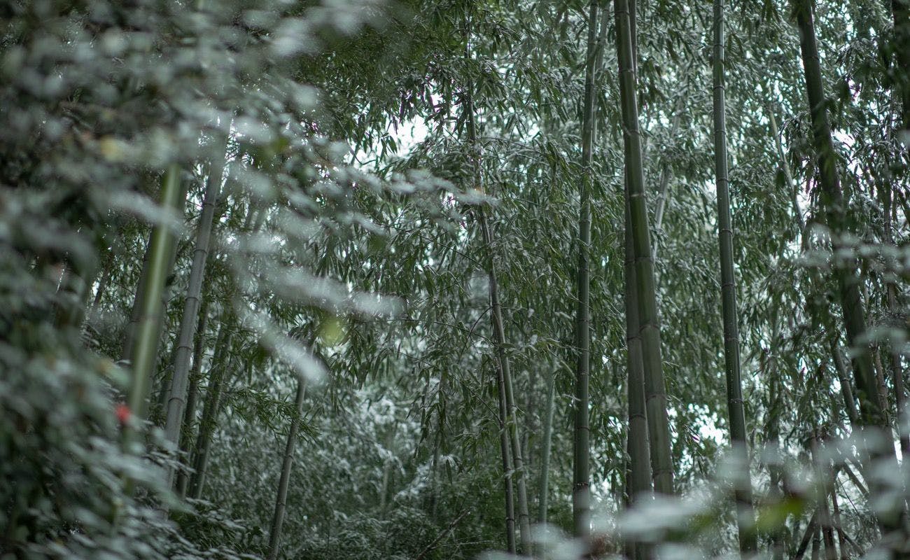 笛吹川温泉　坐忘