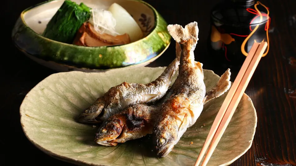 Fufukigawa Onsen Zabou